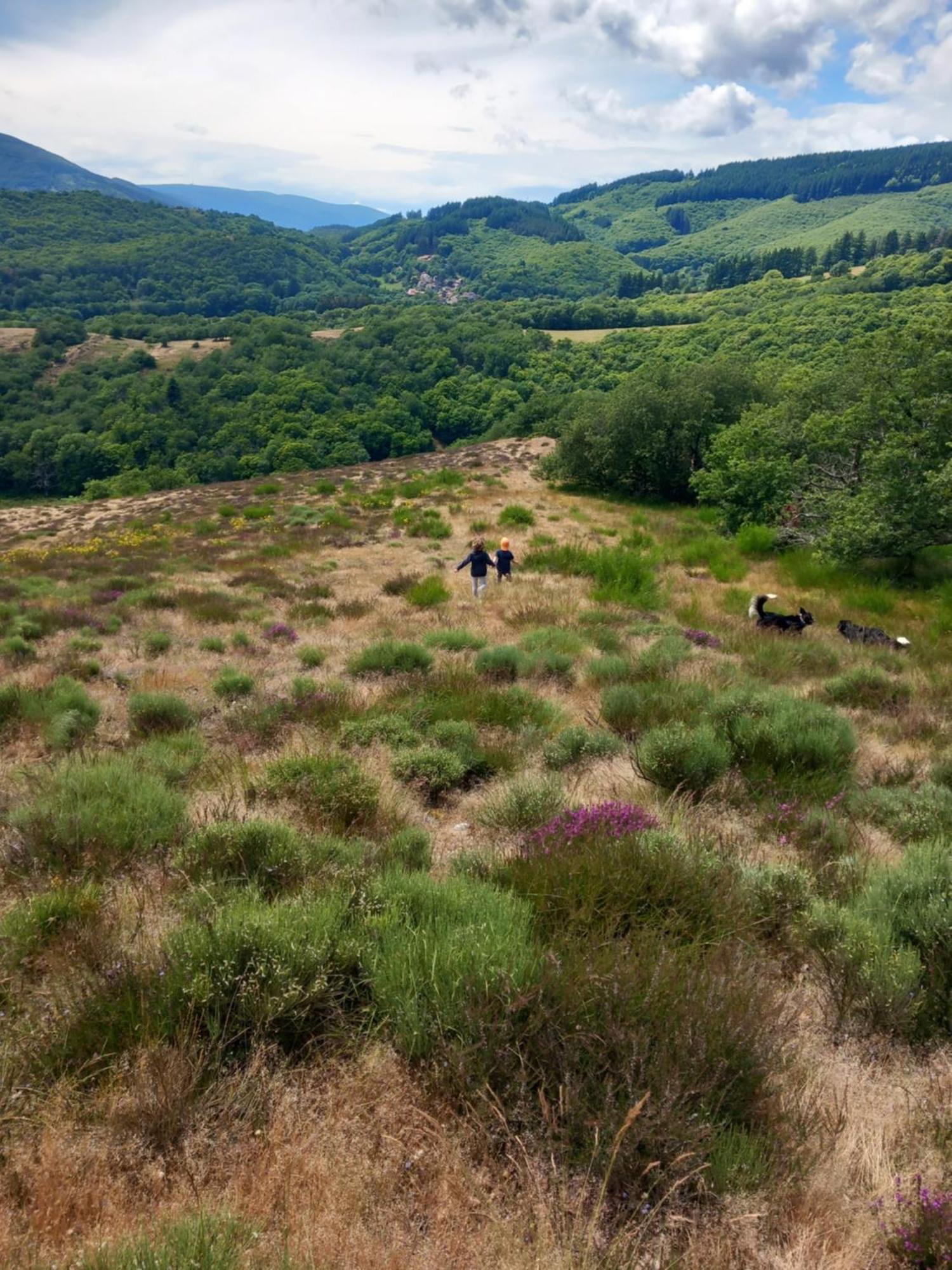 Nabat Le Haut, Chambre Et Table D'Hotes Courniou Екстериор снимка